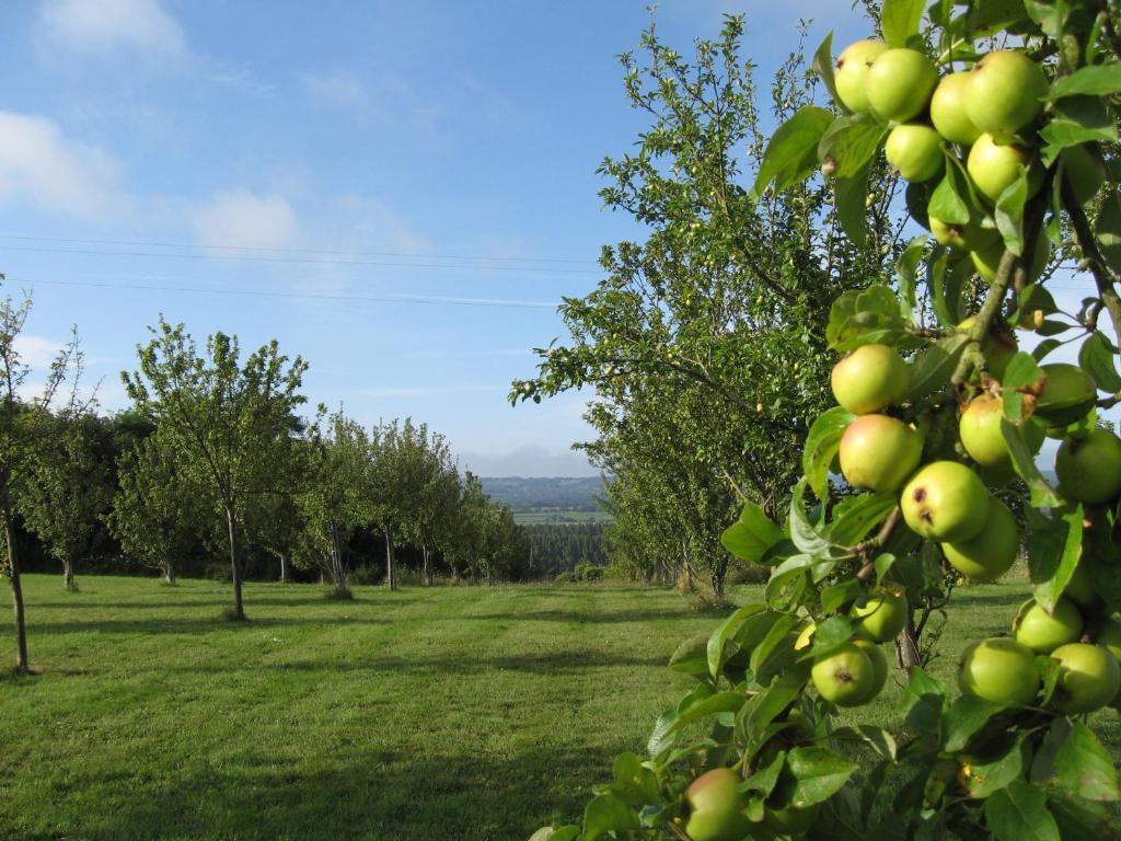 Bed and Breakfast Le Mont d'Auge Canapville  Exterior foto