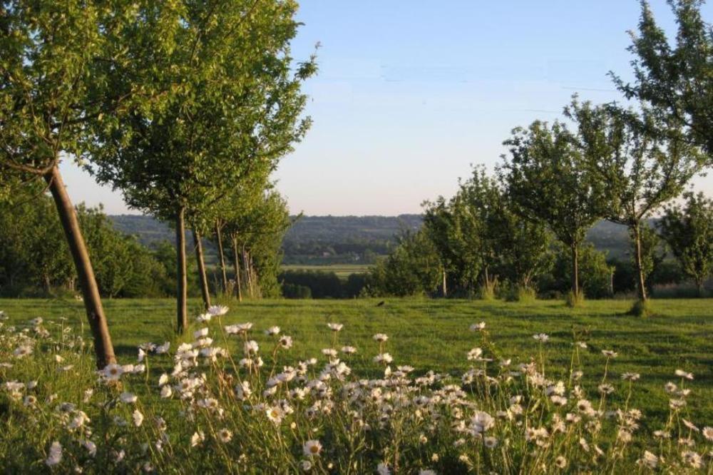 Bed and Breakfast Le Mont d'Auge Canapville  Exterior foto